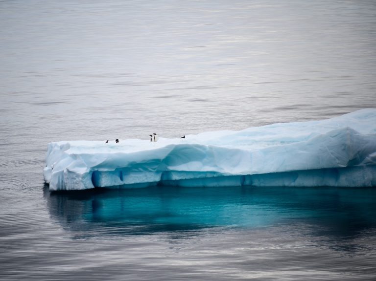 antarctica, iceberg, ice