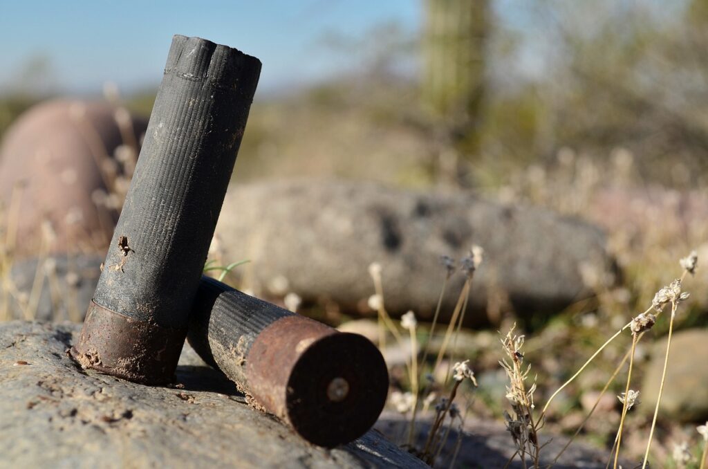 shotgun shells, desert, ammo